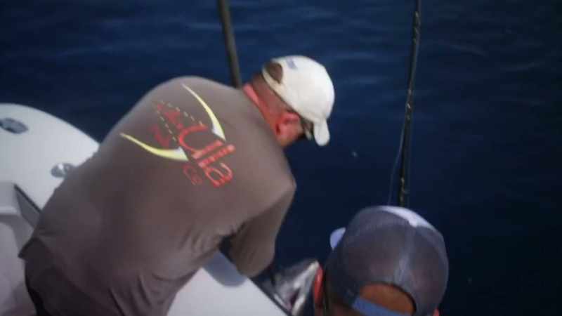 It's just fish after fish after fish coming through