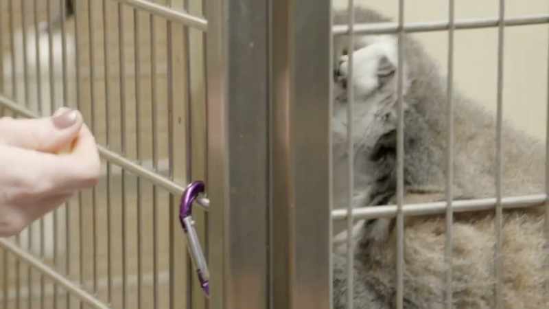 It's just more positive for julian