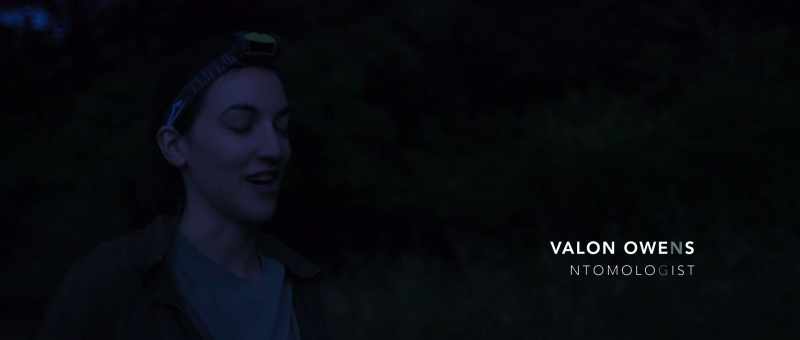 It's just spectacular, and it only gets better as the night gets darker