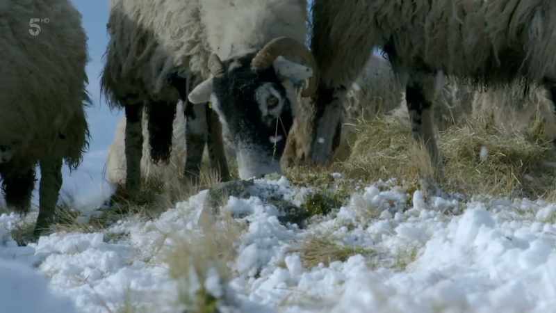 It's just when the snow's really blowing about
