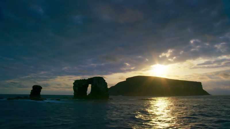 It's known as Darwin Island