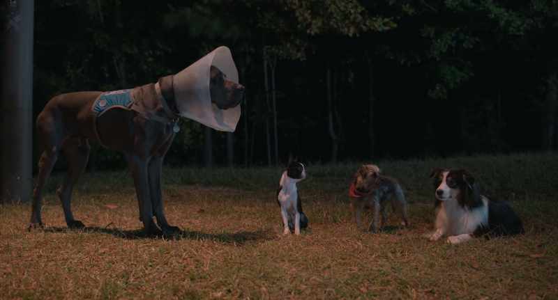 It's like a giant hamster wheel
