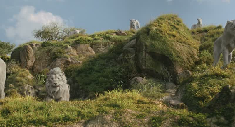 It's no use, Mufasa