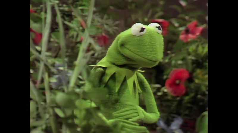 �� It's not easy bein' green ♪