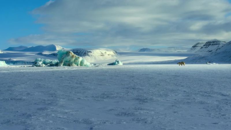 It's not just the sea ice that is vanishing
