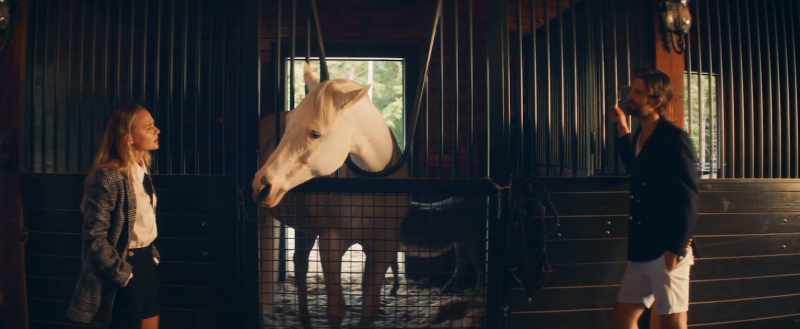 It's not the same horse