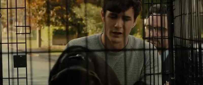It's okay, Bella