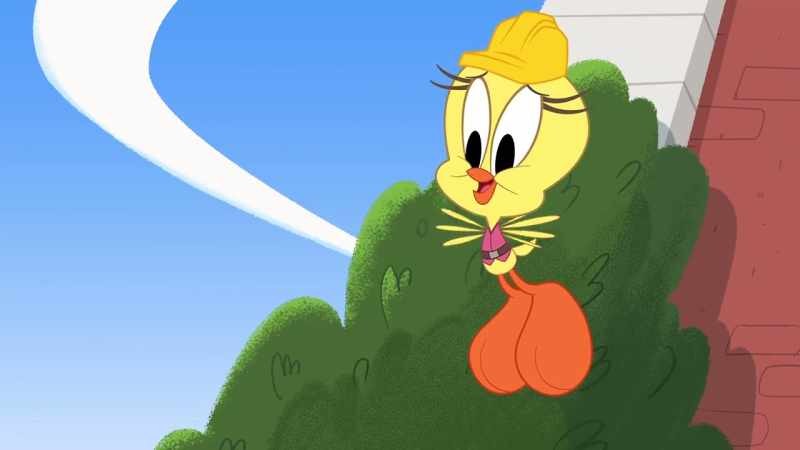 It's okay if you're afraid of heights, Sylvester