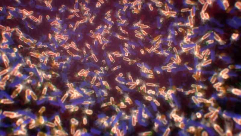 It's one of the most diverse ecosystems on Earth