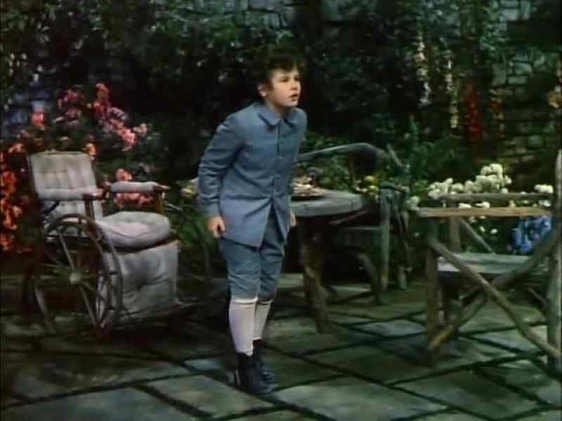 It's our garden . . . . . . . please !