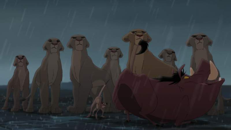 It's over simba