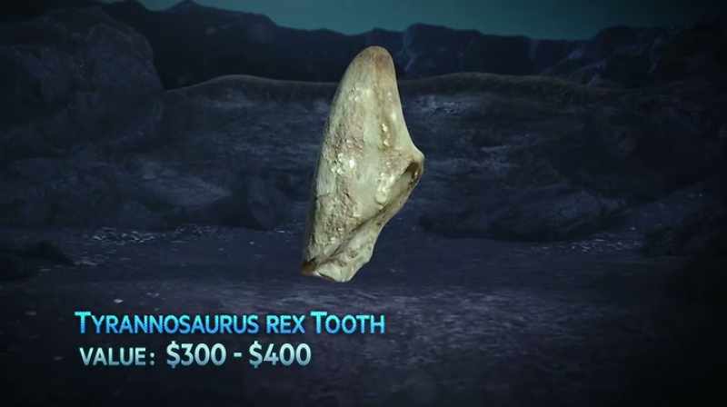 IT'S PROBABLY A 300, $400 TOOTH