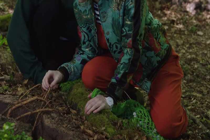 It's probably nothing, or a badger's sett like Dave said