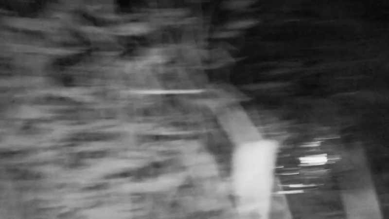 It's really hard maneuvering in the dark and finding trails