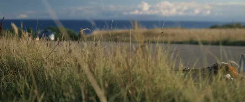 It's really nice on Bornholm. - Have you never been to Bornholm?