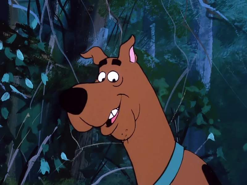 Scooby Doo