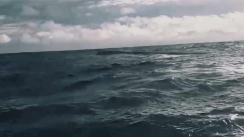It's semi‐submersed in the water