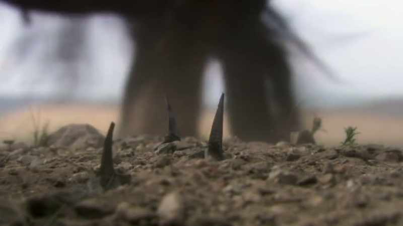 Its sharpened edges can lame a soldier or a horse
