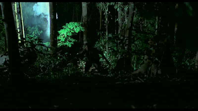 It's the ambush