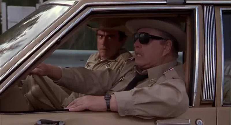 It's the Bandit