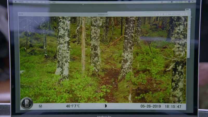 It's the ideal spot for species to go unnoticed