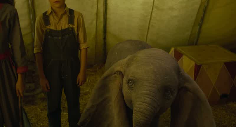 It's the kids taught Dumbo