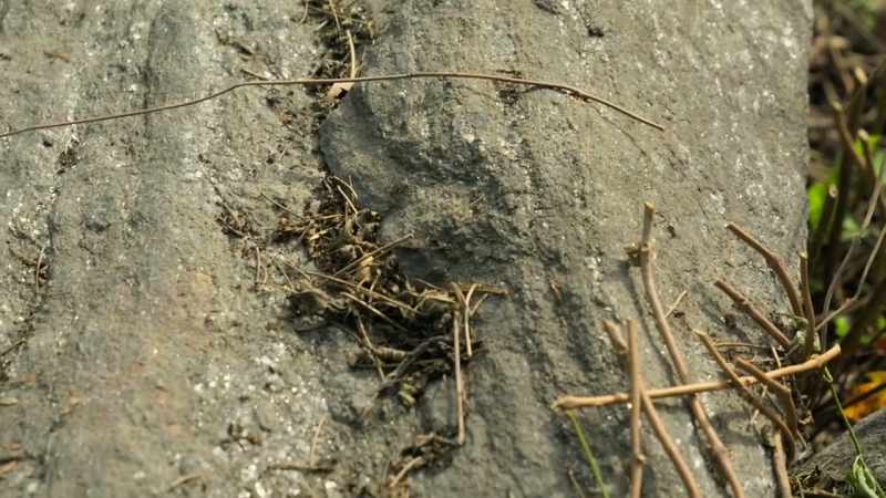 It's the same schist that we saw