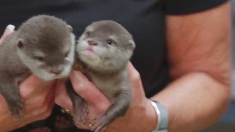 It's time to learn how to swim!