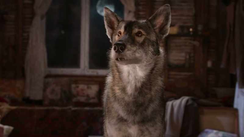 It's time to say goodbye to those puppies for good