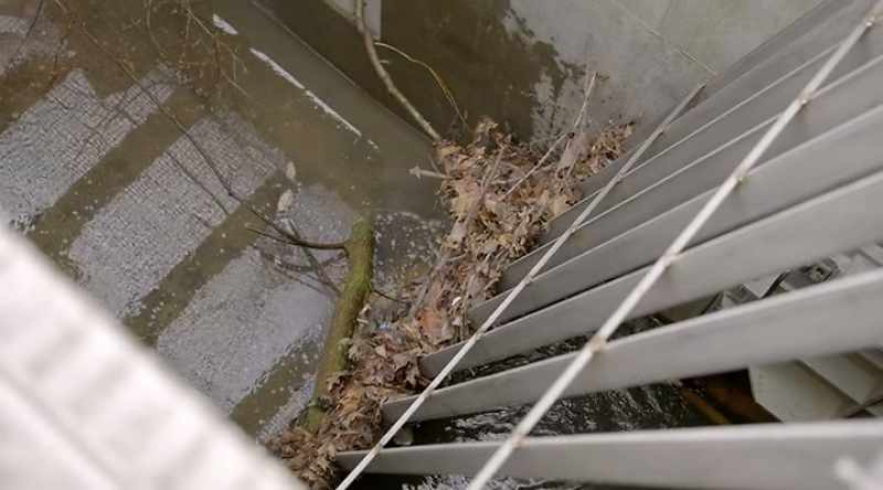 It's trapped by these gates, and needs to be removed so the creek doesn't overflow