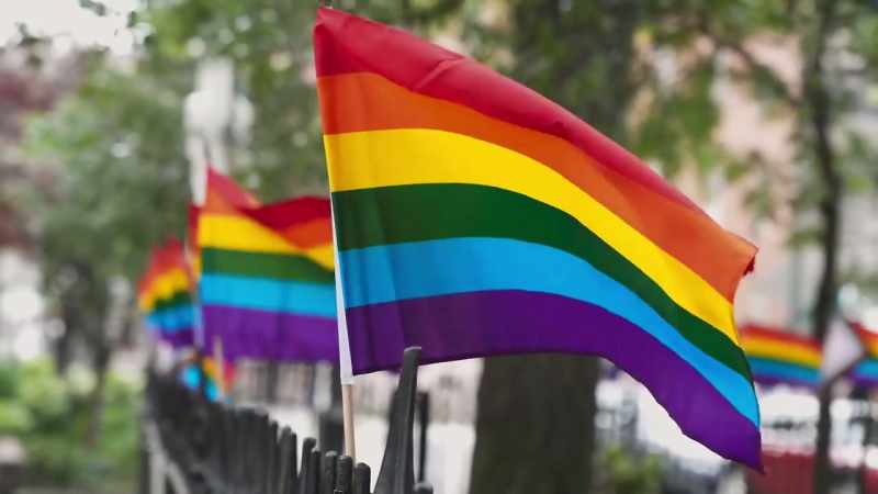 It's very important for queer comedians to be seen and heard