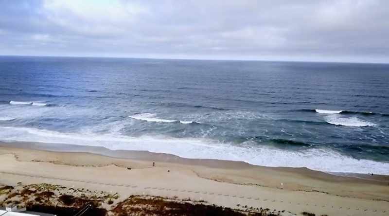 Its waters are the perfect temperature for marine life
