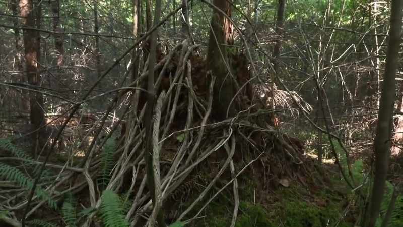 It's what Ronny would call a tree structure