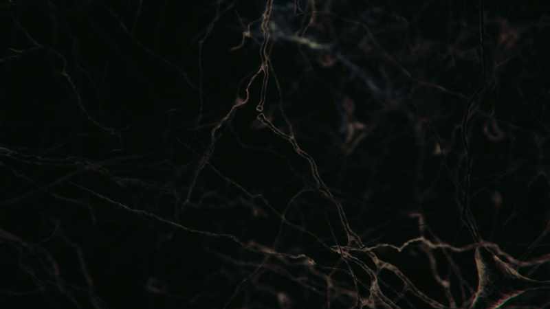 It's written in those neurons pioneered by