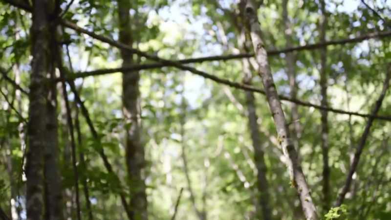 I've always maintained that I have a very difficult time with stick structures