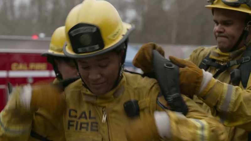 I've barely touched a hose all day