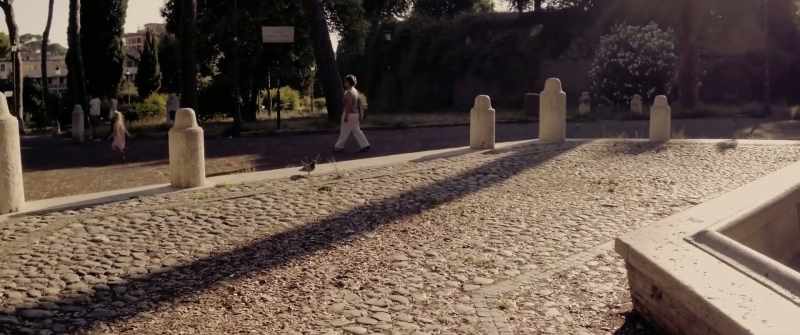 I've been all over the park running after them