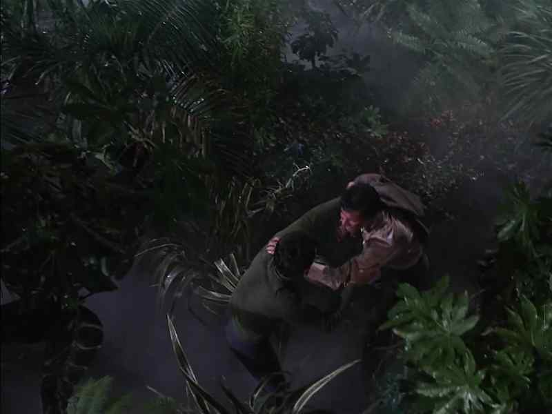 I've been clawing my way through this jungle for hours