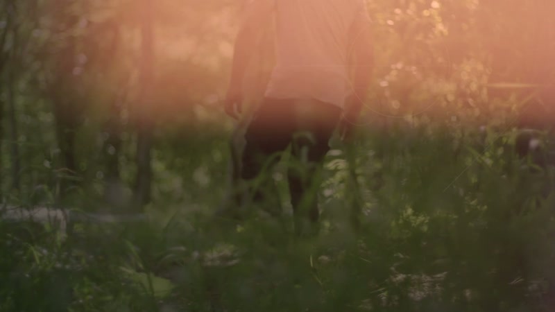�� I've been haunted by the visions ♪