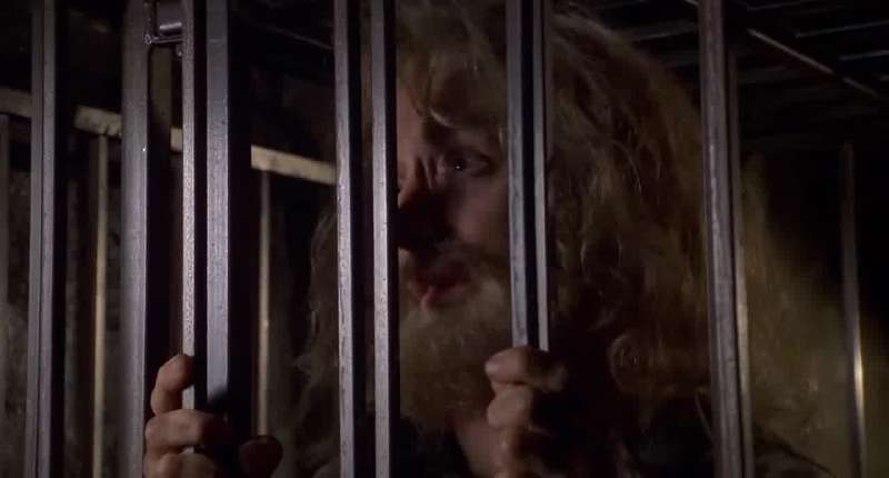 I've been in this cage for three years five months and 17 days