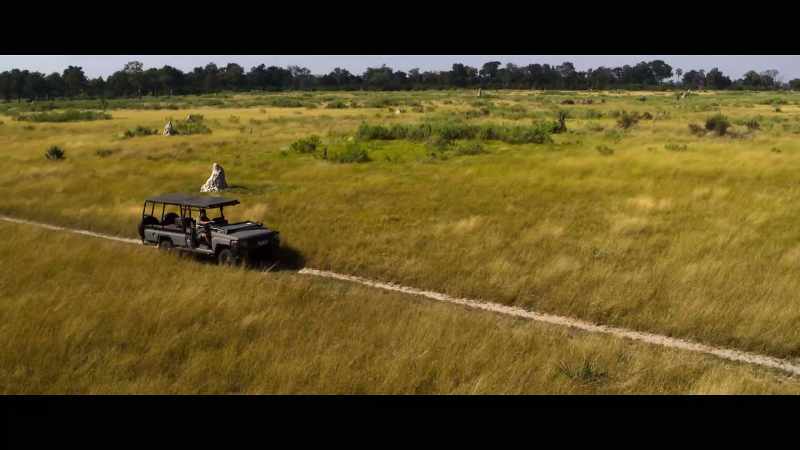 I've been tracking Kutjira
