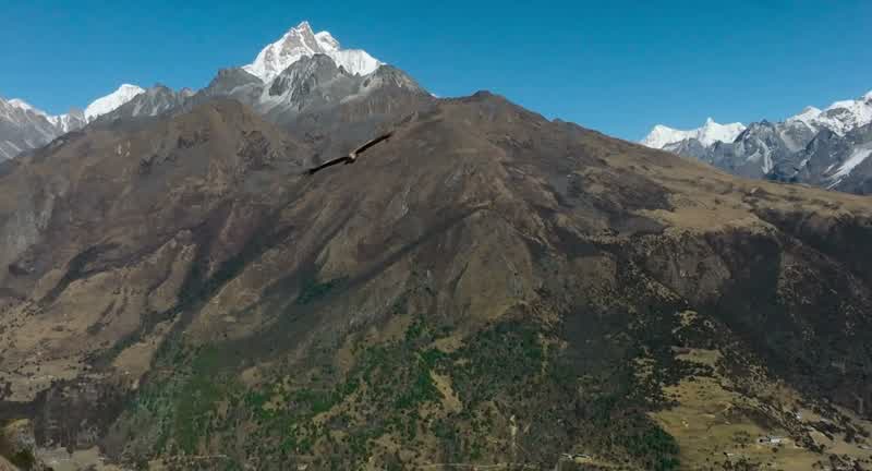 I've come to the Himalayas, the highest mountain range on earth