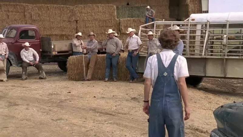 I've eaten bulls' testicles
