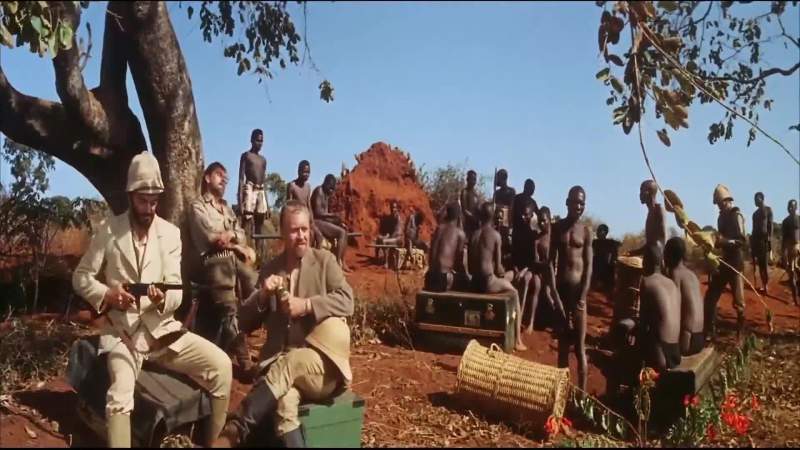 I've got a feeling about this safari
