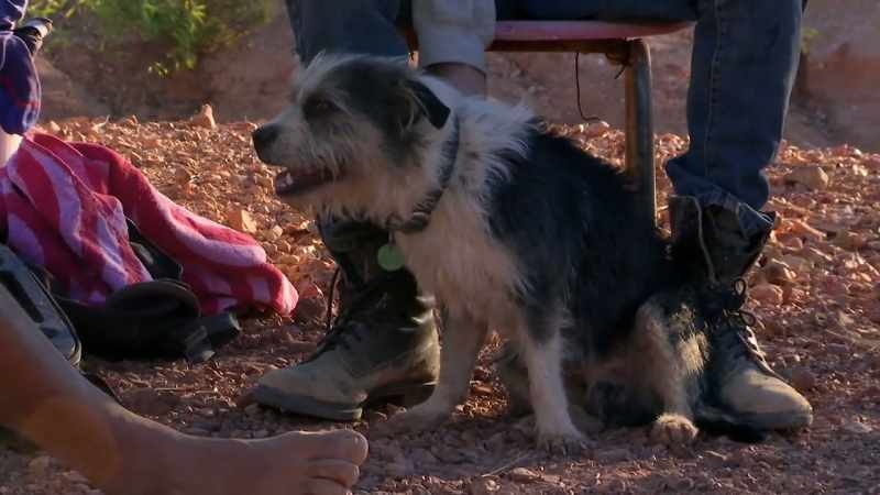 I've got heaps of tucker for him. Yeah, he'll be all right