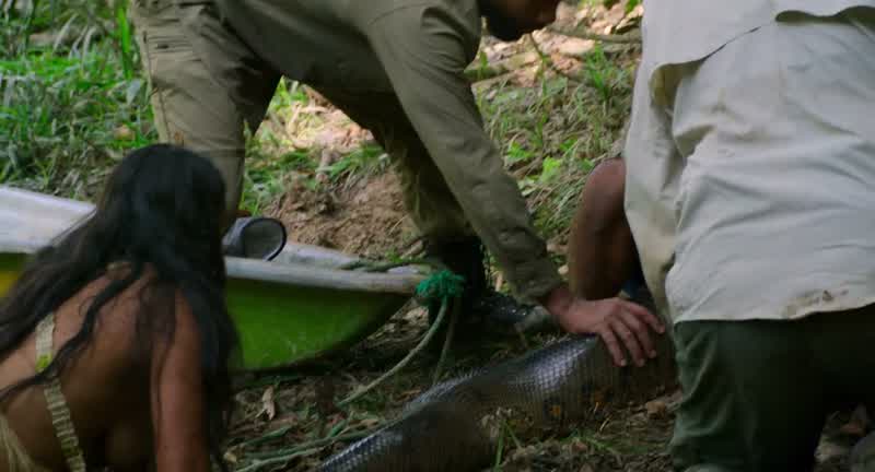 I've heard about anacondas, and I've always been shook