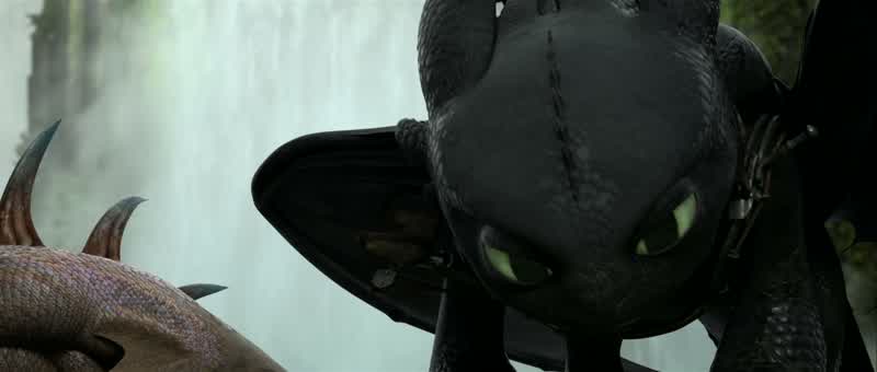 I've lived among them for 20 years, Hiccup, discovering their secrets