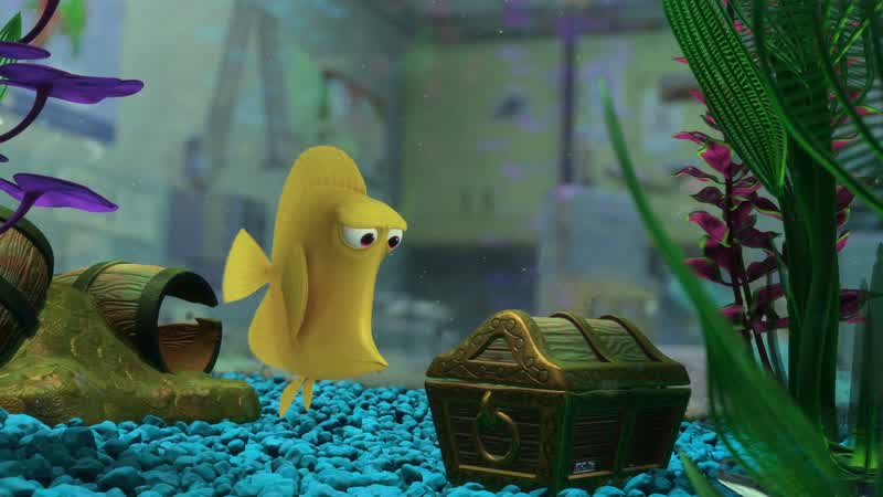 I've lost count Fish aren't meant to be in a box kid It does things to you