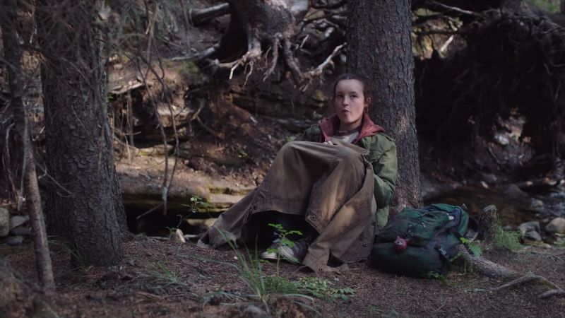 I've never been in the woods