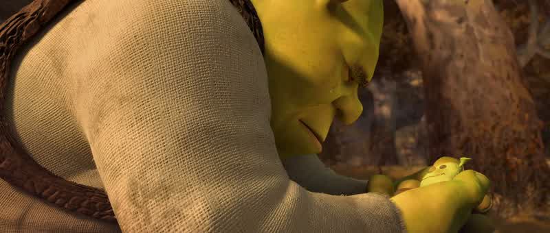 I've never seen an ogre cryI'm not cryingIt's nothing to be ashamed of I cry all the timeJust thinking about my grandma or thinking about baby kittensor my grandma kissing a baby kitten or a little